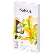  Ароматизированный парафин Bolsius 90506712 (6шт в блистере) Манго и бергамот в Симферополе