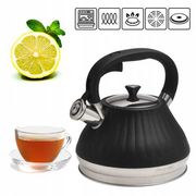  Чайник 3 л Kamille 0858 из нержавеющей стали со свистком в Симферополе