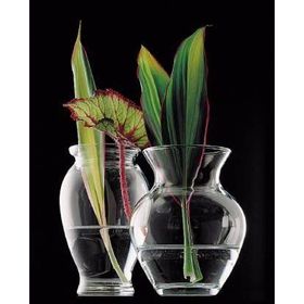  Ваза Pasabahce 43206/4093 Flora ПР 144 мм в Симферополе