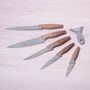  Набор ножей Kamille 5043 (5 ножей + овощечистка) в Симферополе